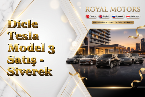 Dicle Tesla Model 3 Satış - Siverek