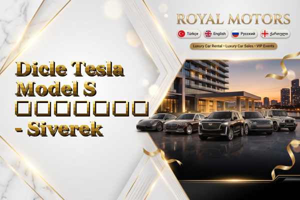 Dicle Tesla Model S გაყიდვა - Siverek