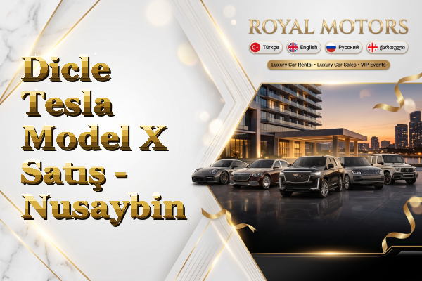 Dicle Tesla Model X Satış - Nusaybin