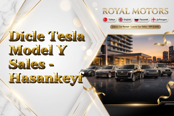 Dicle Tesla Model Y Sales - Hasankeyf