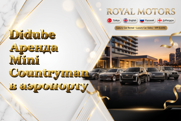Didube Аренда Mini Countryman в аэропорту