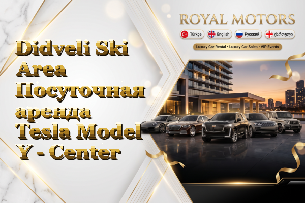 Didveli Ski Area Посуточная аренда Tesla Model Y - Center