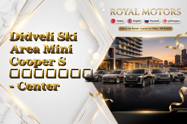Didveli Ski Area Mini Cooper S გაყიდვა - Center