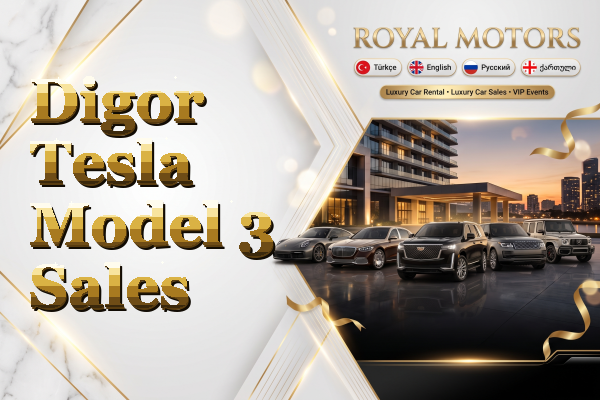 Digor Tesla Model 3 Sales