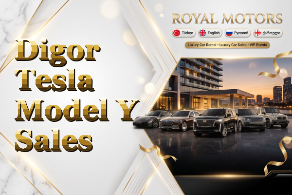 Digor Tesla Model Y Sales