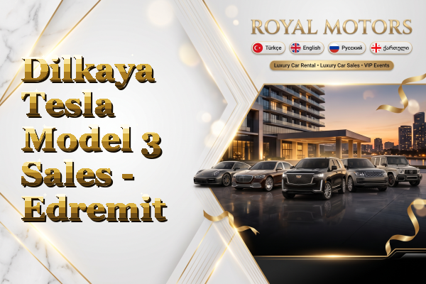 Dilkaya Tesla Model 3 Sales - Edremit