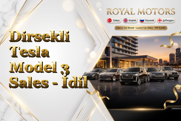 Dirsekli Tesla Model 3 Sales - İdil