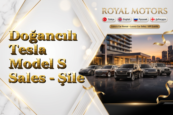 Doğancılı Tesla Model S Sales - Şile