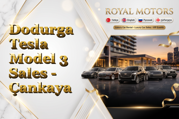 Dodurga Tesla Model 3 Sales - Çankaya