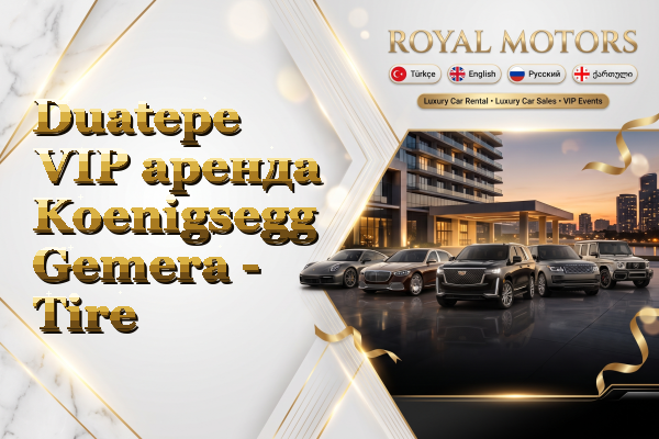 Duatepe VIP аренда Koenigsegg Gemera - Tire