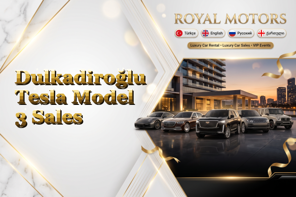 Dulkadiroğlu Tesla Model 3 Sales