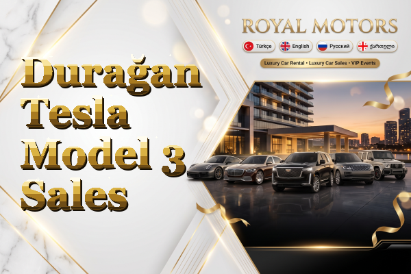 Durağan Tesla Model 3 Sales
