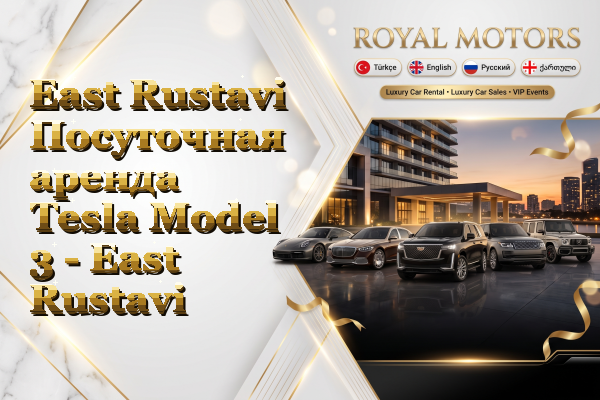 East Rustavi Посуточная аренда Tesla Model 3 - East Rustavi