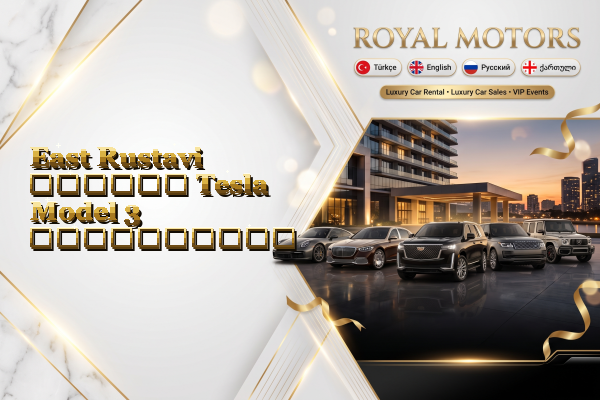 East Rustavi დღიური Tesla Model 3 გაქირავება