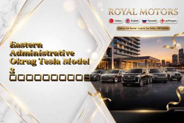 Eastern Administrative Okrug Tesla Model 3 გაქირავება