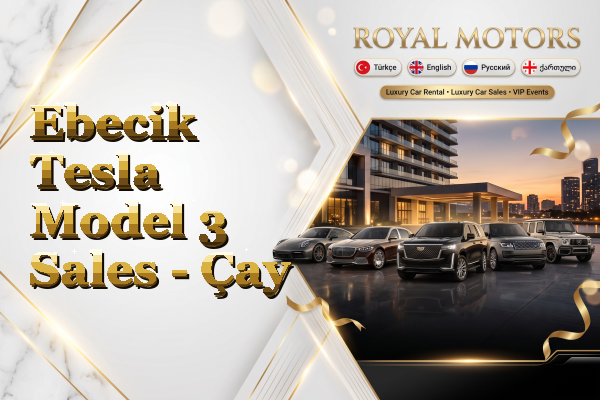 Ebecik Tesla Model 3 Sales - Çay