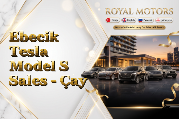 Ebecik Tesla Model S Sales - Çay
