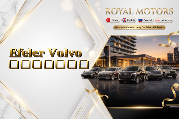 Efeler Volvo გაყიდვა