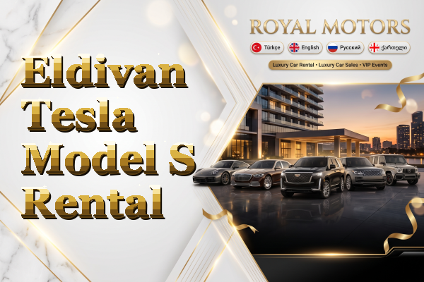 Eldivan Tesla Model S Rental