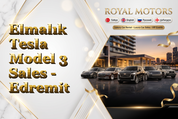 Elmalık Tesla Model 3 Sales - Edremit