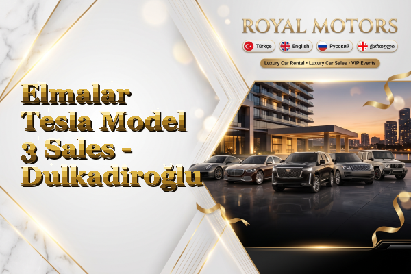 Elmalar Tesla Model 3 Sales - Dulkadiroğlu
