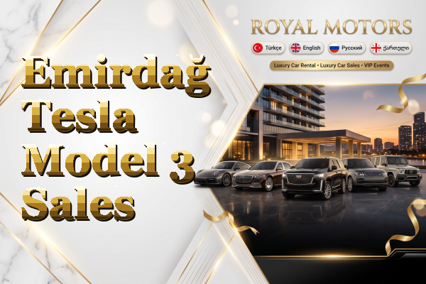 Emirdağ Tesla Model 3 Sales