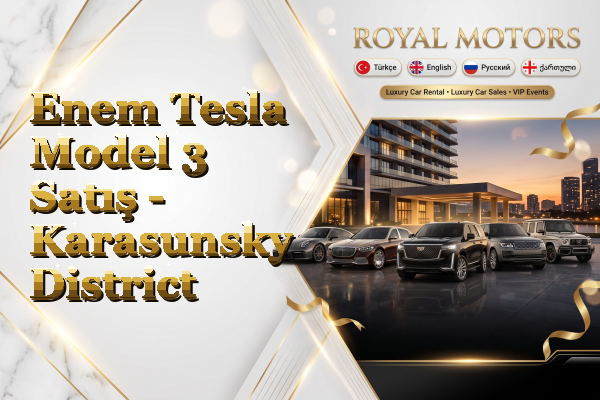 Enem Tesla Model 3 Satış - Karasunsky District