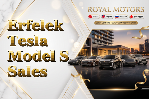 Erfelek Tesla Model S Sales