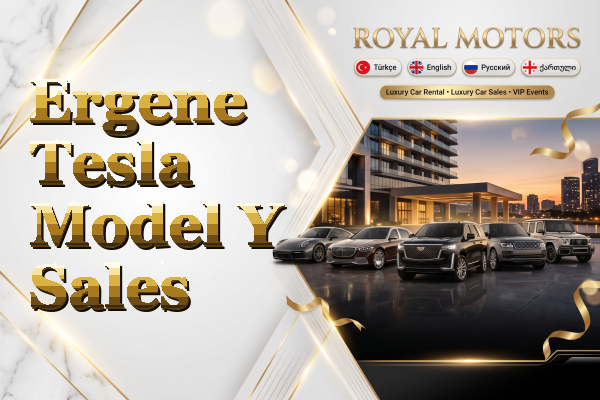 Ergene Tesla Model Y Sales