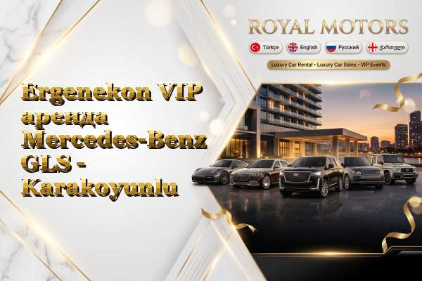 Ergenekon VIP аренда Mercedes-Benz GLS - Karakoyunlu