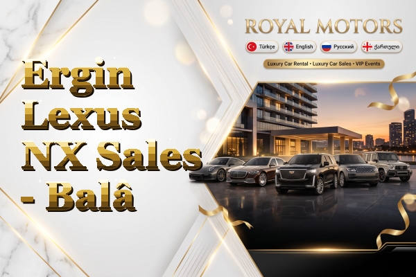 Ergin Lexus NX Sales - Balâ