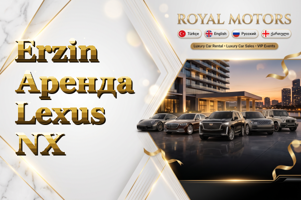 Erzin Аренда Lexus NX