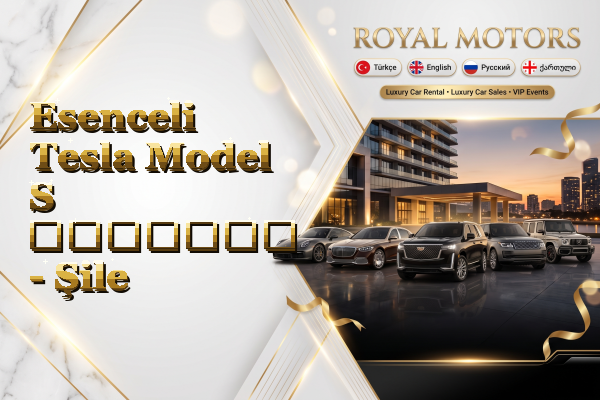 Esenceli Tesla Model S გაყიდვა - Şile