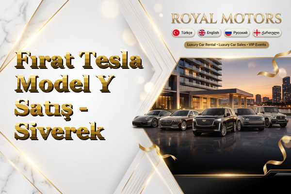 Fırat Tesla Model Y Satış - Siverek
