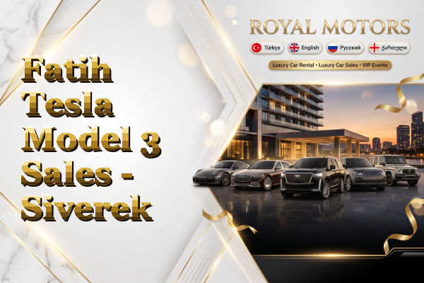 Fatih Tesla Model 3 Sales - Siverek
