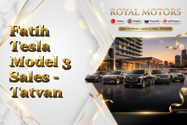 Fatih Tesla Model 3 Sales - Tatvan