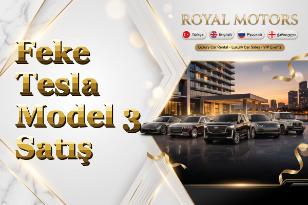 Feke Tesla Model 3 Satış
