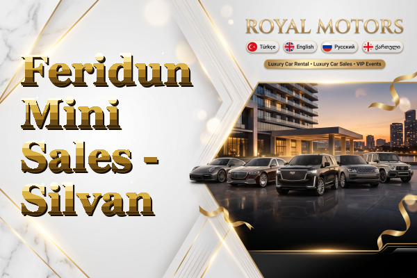 Feridun Mini Sales - Silvan
