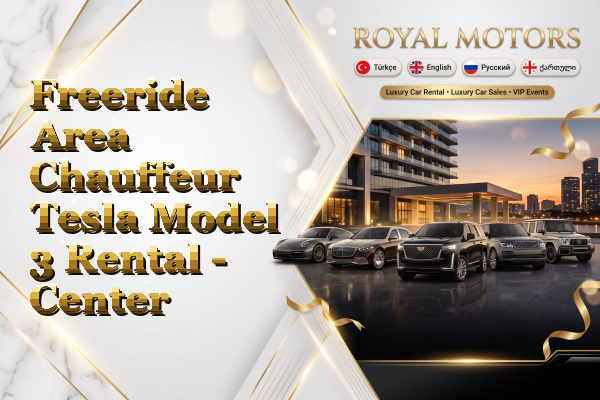 Freeride Area Chauffeur Tesla Model 3 Rental - Center
