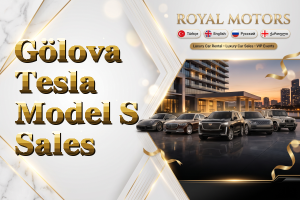 Gölova Tesla Model S Sales