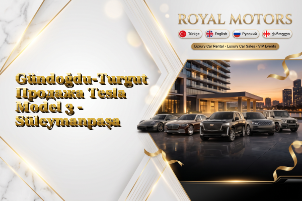 Gündoğdu-Turgut Продажа Tesla Model 3 - Süleymanpaşa