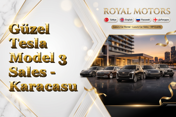Güzel Tesla Model 3 Sales - Karacasu