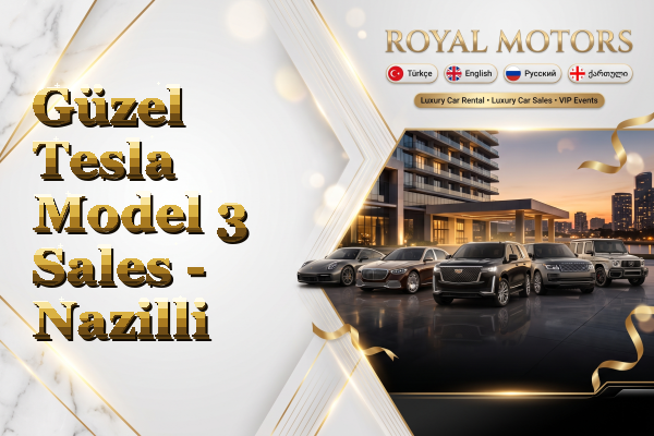 Güzel Tesla Model 3 Sales - Nazilli
