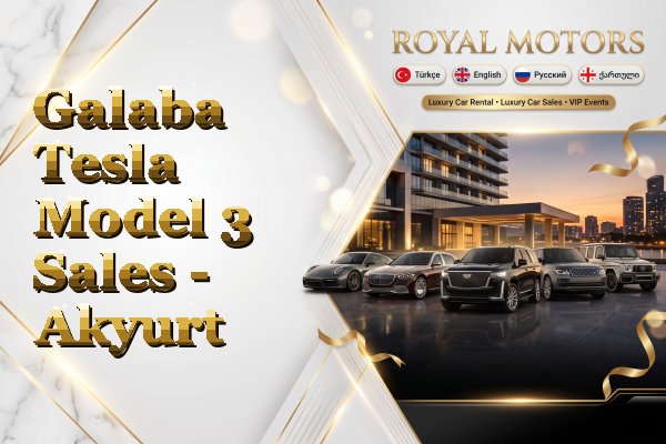 Galaba Tesla Model 3 Sales - Akyurt