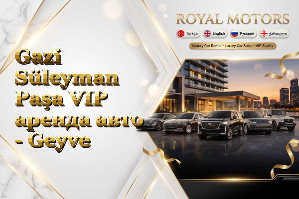Gazi Süleyman Paşa VIP аренда авто - Geyve