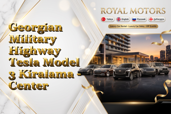 Georgian Military Highway Tesla Model 3 Kiralama - Center