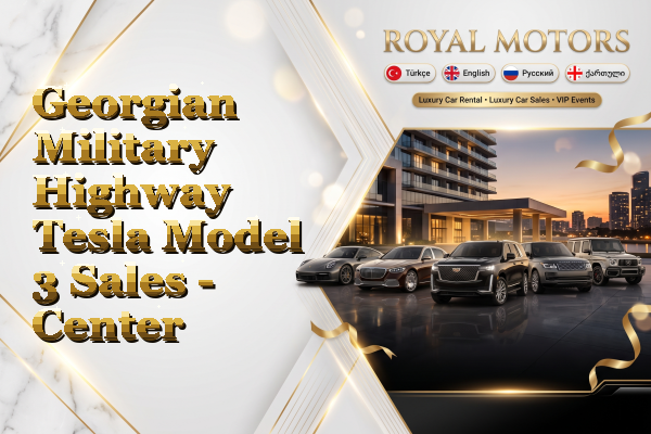 Georgian Military Highway Tesla Model 3 Sales - Center