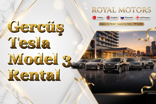 Gercüş Tesla Model 3 Rental
