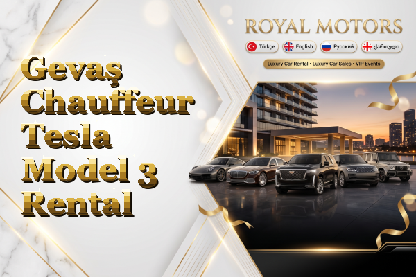 Gevaş Chauffeur Tesla Model 3 Rental