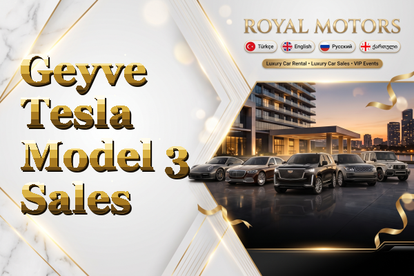 Geyve Tesla Model 3 Sales
